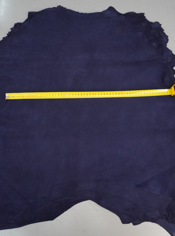 🐐 Ante color marino