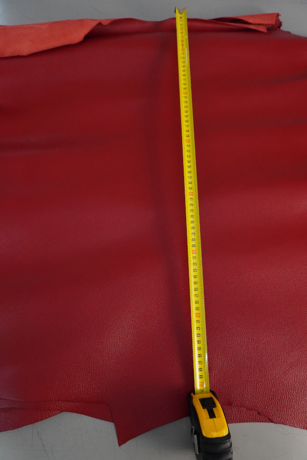 🐐 Cabra italiana con cuerpo bombeado rojo