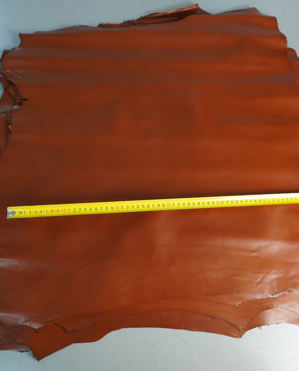 🐐🤎 Cabra Mestizo Cuero Bonito