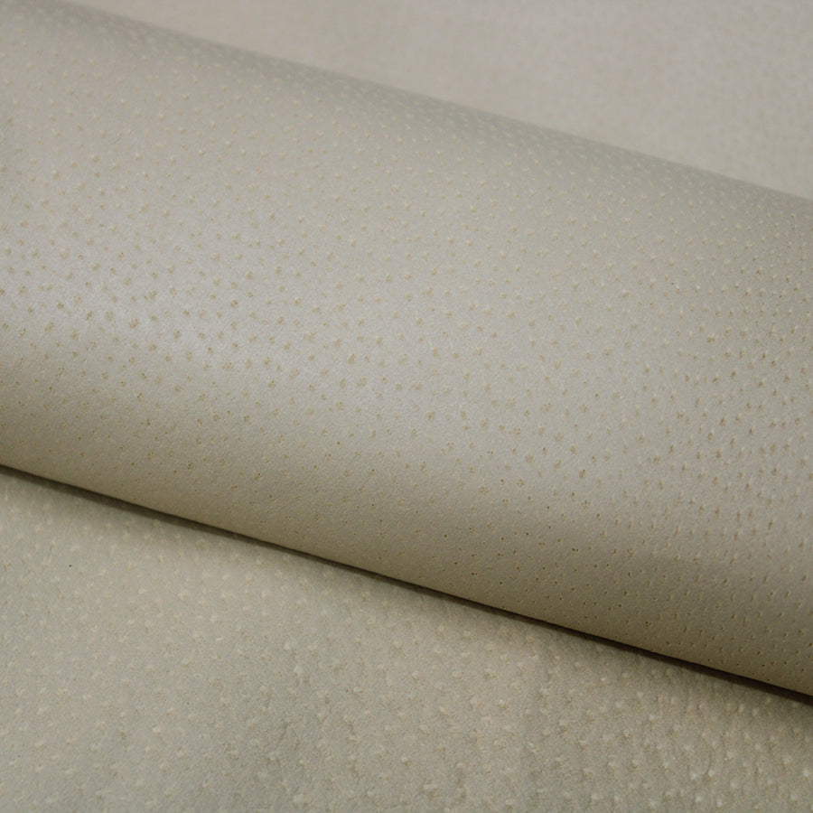 🐖 Cerdo planchado beig