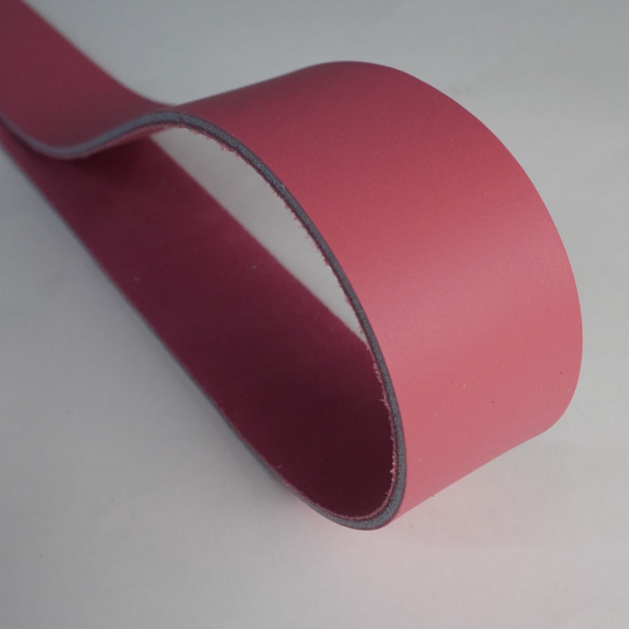 Tiras de Cinturón de Piel Fontanellas i Martí-Rosa