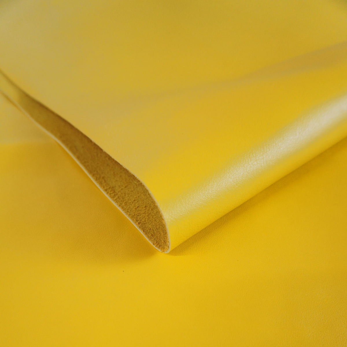Rastros vacuno flor amarillo - imagen 1