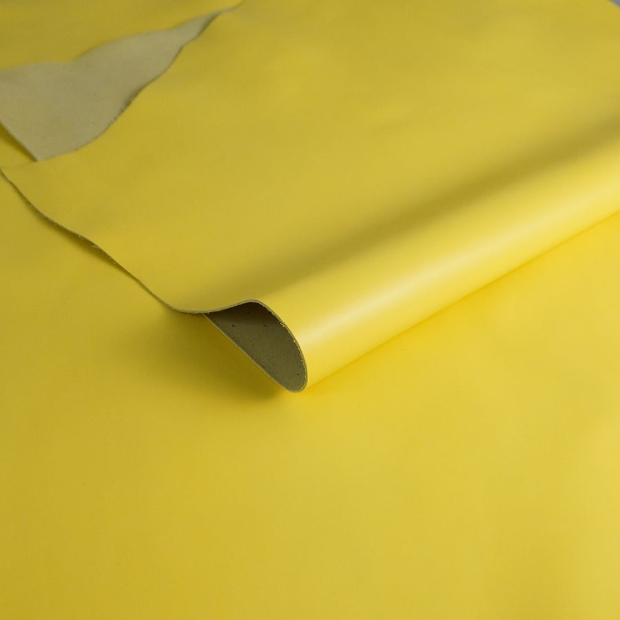 Vacuno flor amarillo