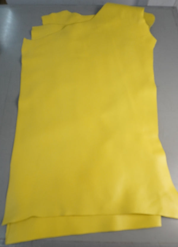 Vacuno flor amarillo - imagen 2