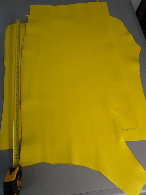 🐂 Retal de vacuno flor amarillo