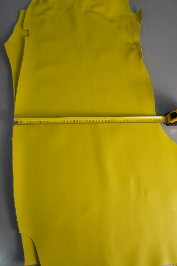 🐂 Retal de vacuno flor amarillo