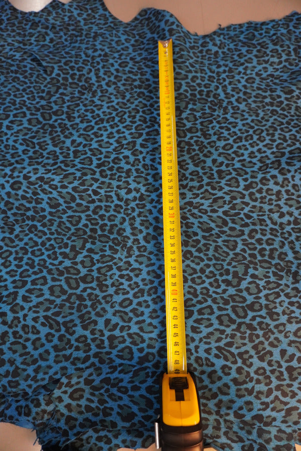 🐆🔵 Ante Leopardo Azul