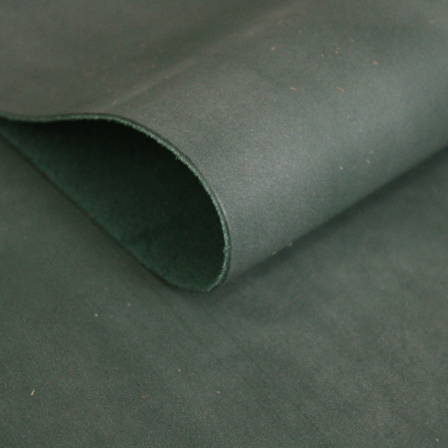 📓Trozo de vacuno con cuerpo color verde