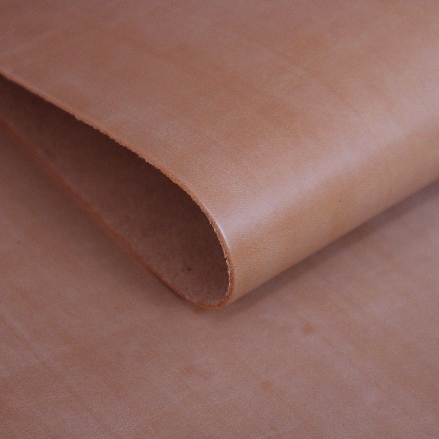 📓Trozo de vacuno con cuerpo color naranja