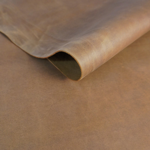 Vacuno Engrasado Camel