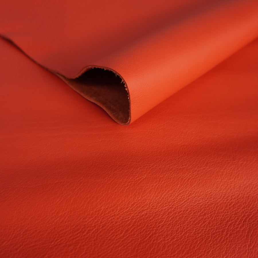 🐂 Vacuno plena flor naranja