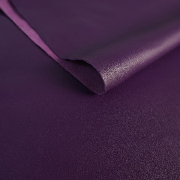 Vacuno flor purple